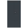 File Cabinet Anthracite 35.4"x15.7"x70.9" Steel