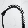 Kitchen Faucets Commercial Solid Brass Single Handle Single Lever Pull Down Sprayer SpringKitchen Sink Faucet Matte Black