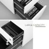 2 Drawer Mobile File Cabinet with Lock Metal Filing Cabinet for Legal/Letter/A4/F4 Size, Fully Assembled Include Wheels, Home/Office Design,White